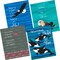 Barker Creek Sea & Sky Curated Collection, 480 Pieces/Set 3999 - alternate 3